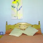 Harlequin Guest House With Parking